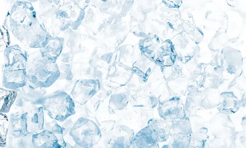shutterstock_553852093.jpg